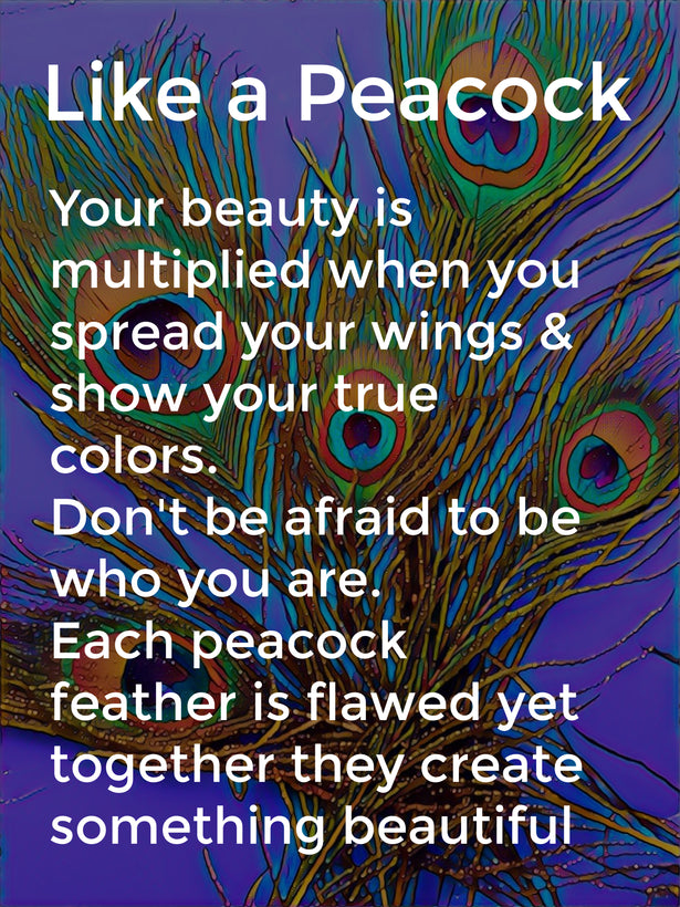 Peacock Pride &amp; Prejudice